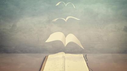 Fungování jako v Ponziho schématu