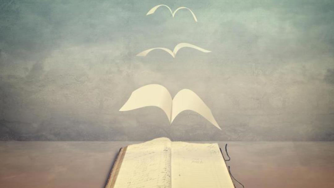 Fungování jako v Ponziho schématu