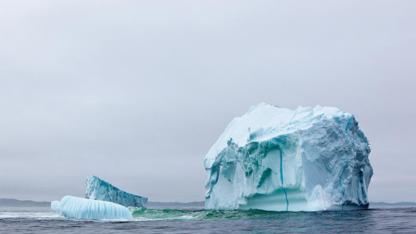 Paretovo pravidlo v manažmente