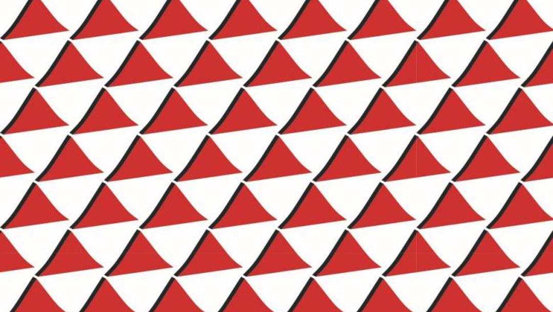 Zkreslené vnímání i v byznysu, část II.