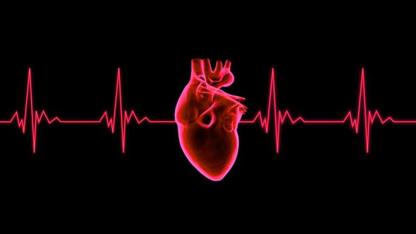 Terminálne štádium firmy