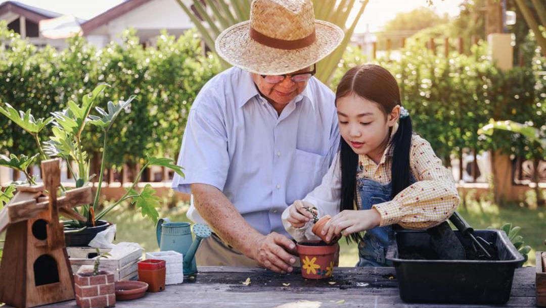 Pozičná moc verzus moc osobnosti