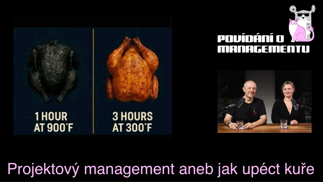 Povídání o managementu -  Projektový management aneb jak upéct kuře (165)