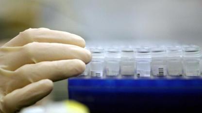 Koronavir verzus podnikání