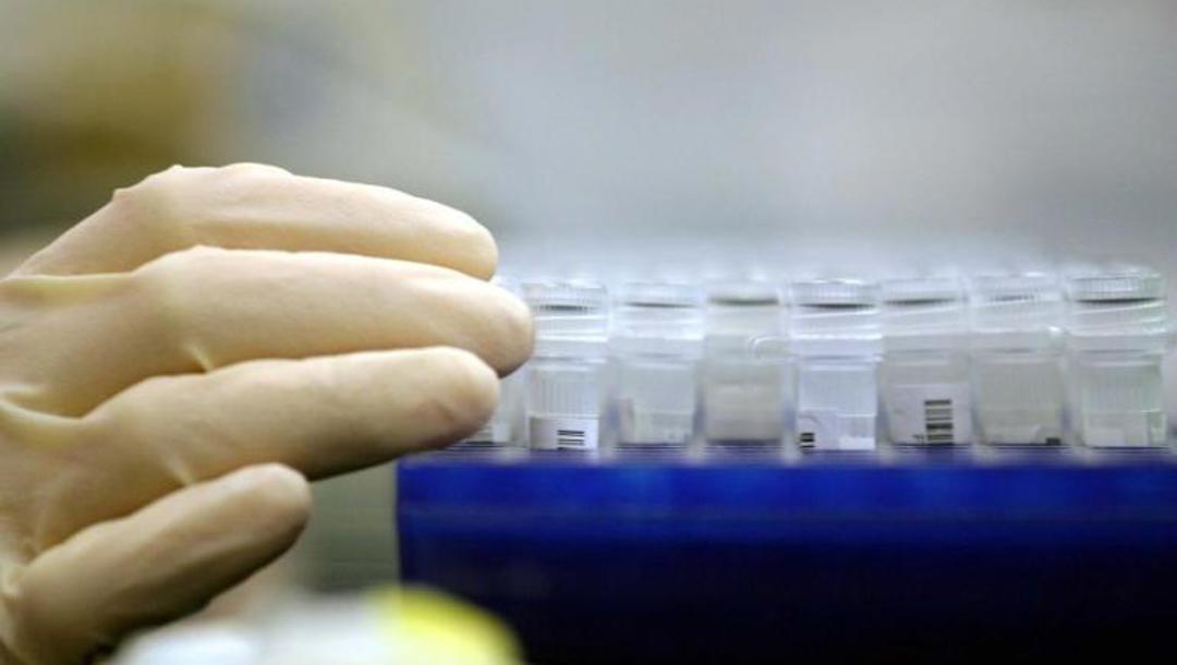 Koronavir verzus podnikání