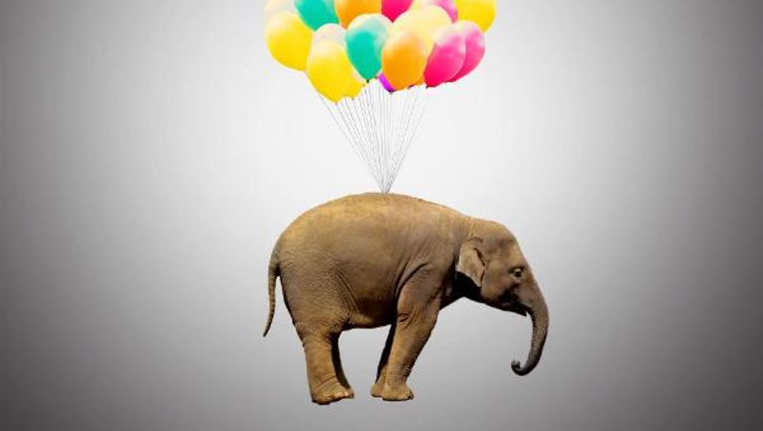 Jak to nemá vypadat