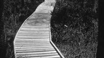 Environmentální systém managementu EMS