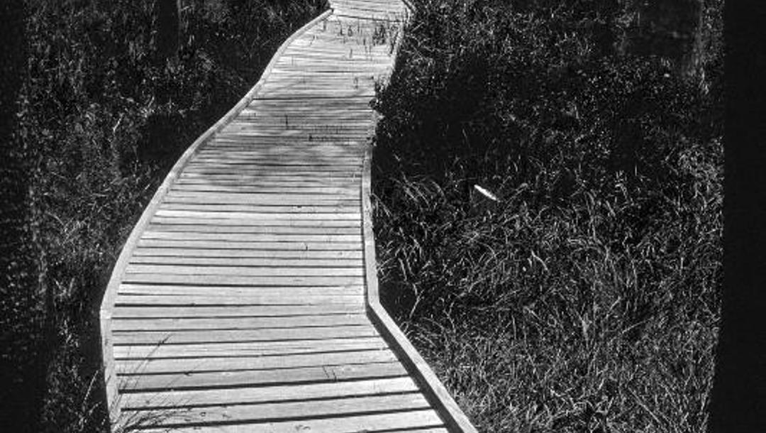 Environmentální systém managementu EMS