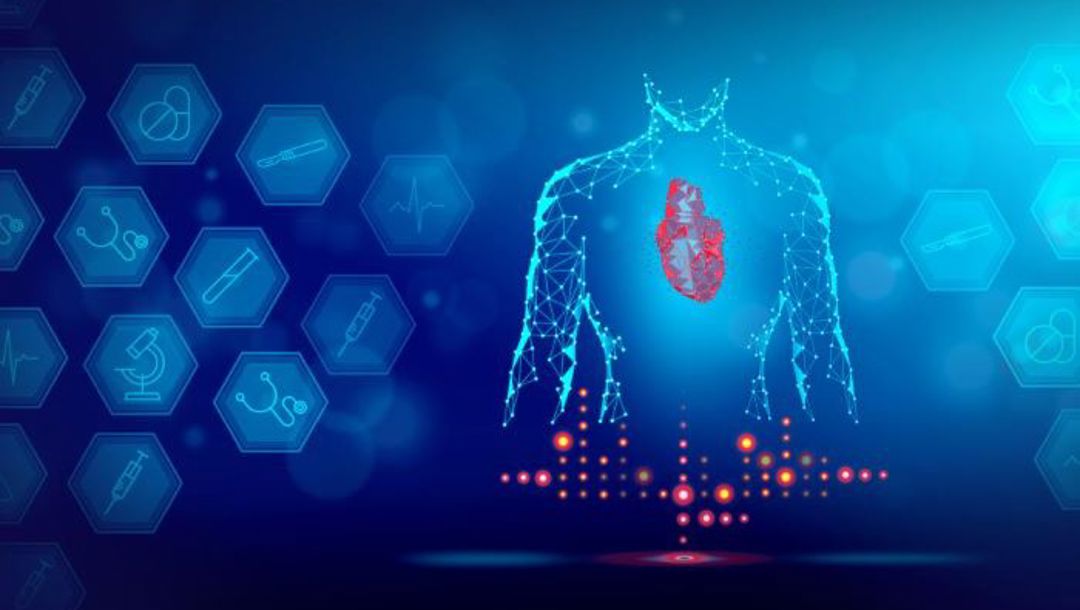 Management a prírodovedné zákony